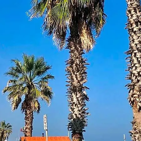 Frontemare Faleria לינה וארוחת בוקר Porto SantʼElpidio